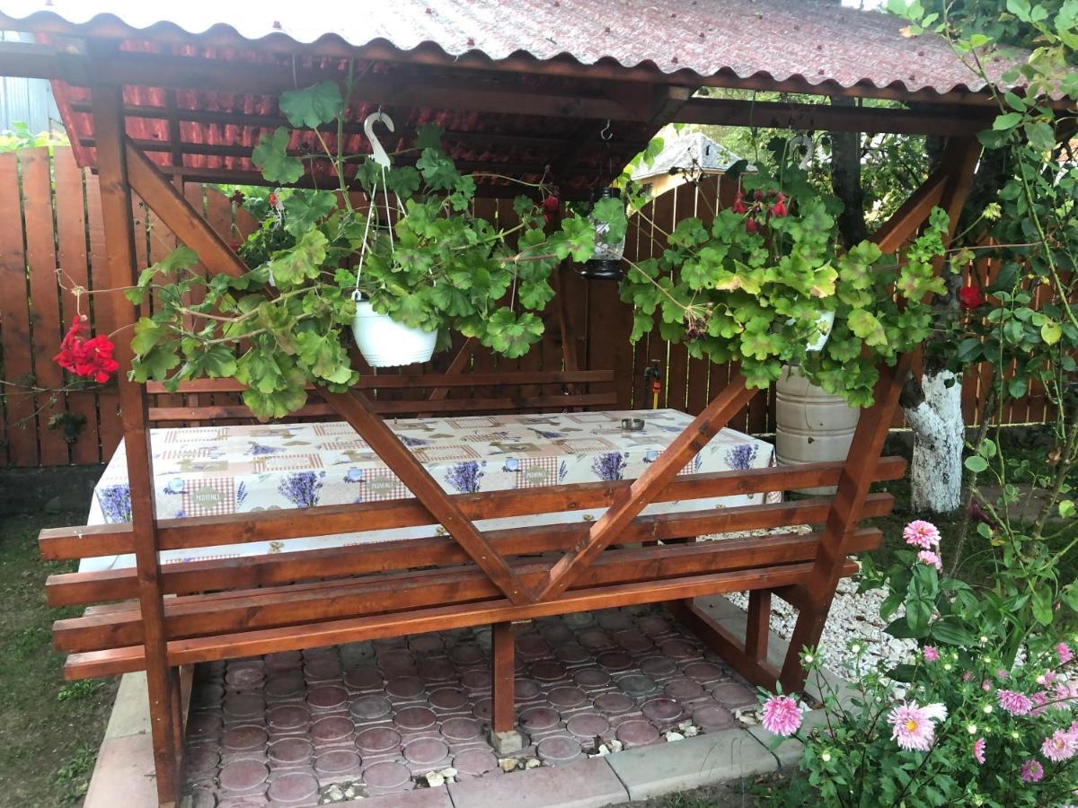 Hotel Casa Todea Cîmpeni Exteriér fotografie