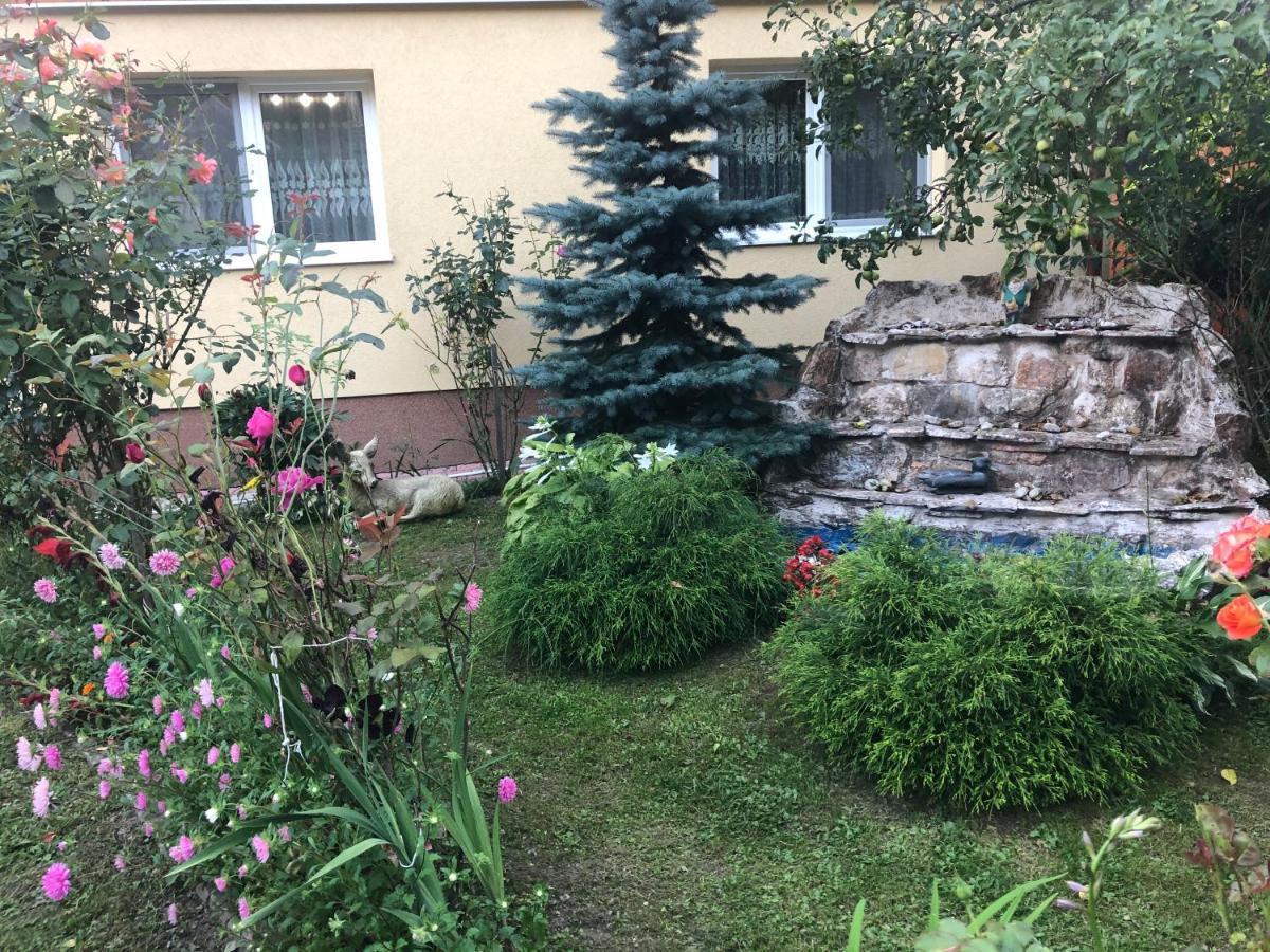 Hotel Casa Todea Cîmpeni Exteriér fotografie